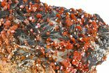 Deep Red Vanadinite Crystals on Barite - Morocco #291086-2